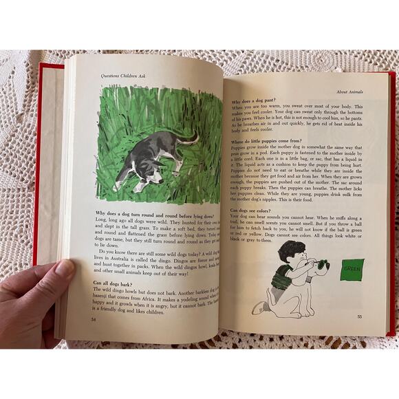 Vintage 'Questions Children Ask' Hardcover Book: 1982 Educational Science - Picture 7 of 9